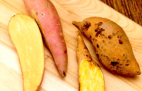 Red and White Sweet Potatoes